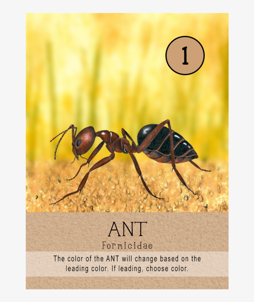 Ants, transparent png #2202677