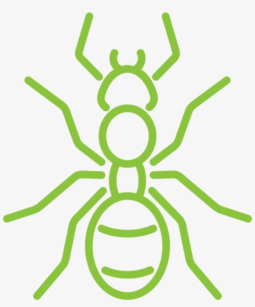 Why You Might Have Ants - Ant, transparent png #2202983