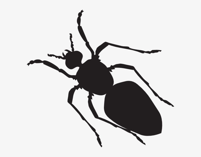 Fat Full-black Ant Silhouette Tattoo Design - Ant Body Shape, transparent png #2203516