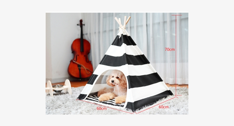 Pet, transparent png #2204169