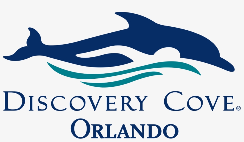 Many People Dream Of Swimming With Dolphins, A Once - Discovery Cove Orlando Logo, transparent png #2204656