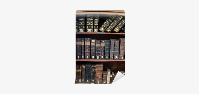 Books On The Shelf, transparent png #2205356