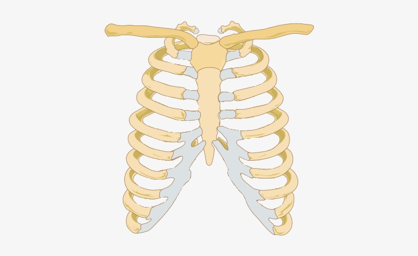 Thunderbolt Kids Graphic Royalty Free Stock - Costochondritis Back Pain, transparent png #2208125