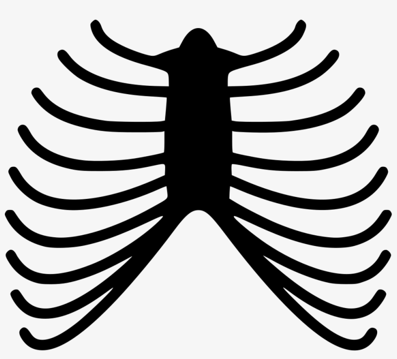 Png File - Skeleton Rib Png, transparent png #2208319