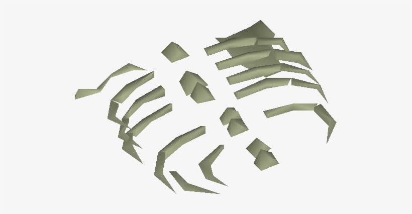 Small Fossilised Ribs Detail - Wiki, transparent png #2208612