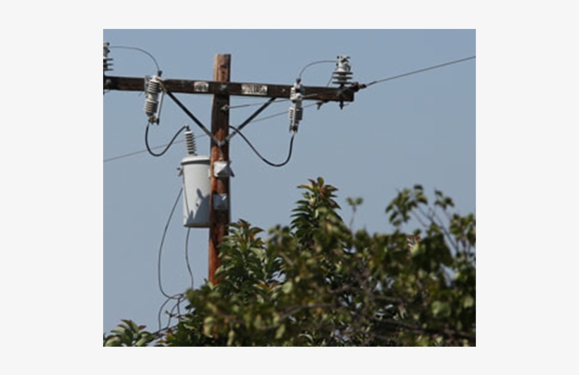 Construction Of Power - Tree, transparent png #2208850