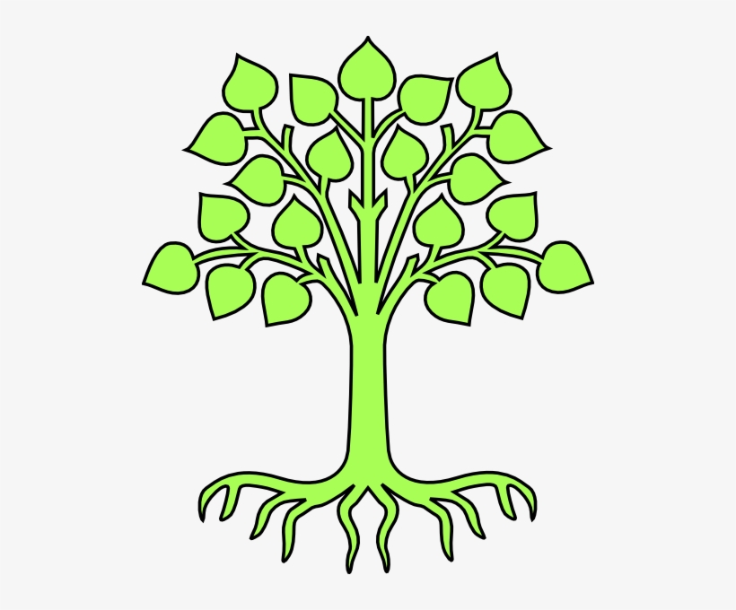 Oak Tree Coat Of Arms, transparent png #2210846