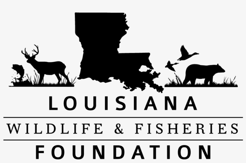 Louisiana Wildlife And Fisheries Foundation - Louisiana Home Black And White Pillow Case, transparent png #2211660
