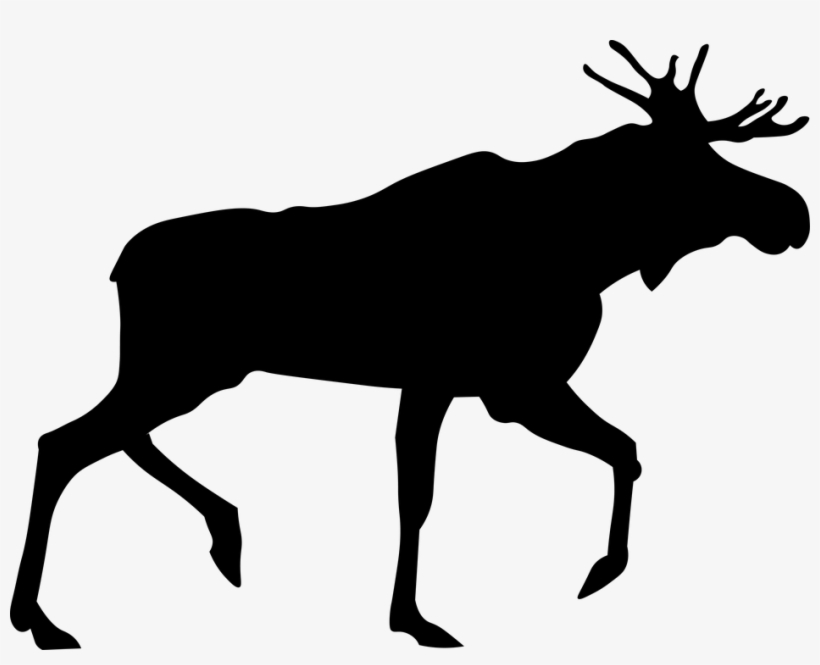 Moose, transparent png #2211684
