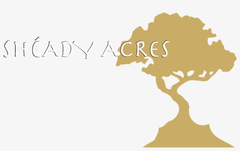 Sheady Acres, transparent png #2211909