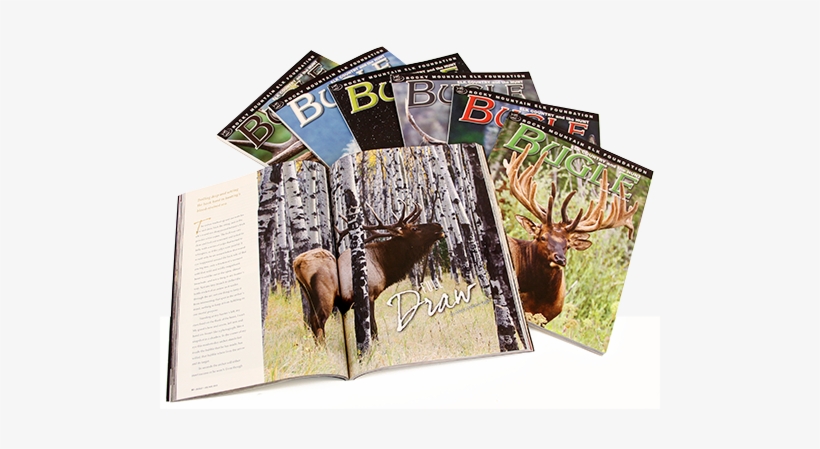 Bugel Magazine, transparent png #2212596