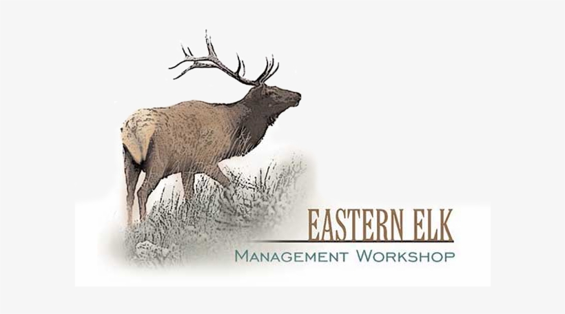 22nd Annual Eastern Elk Management Workshop - Eastern Elk, transparent png #2212823