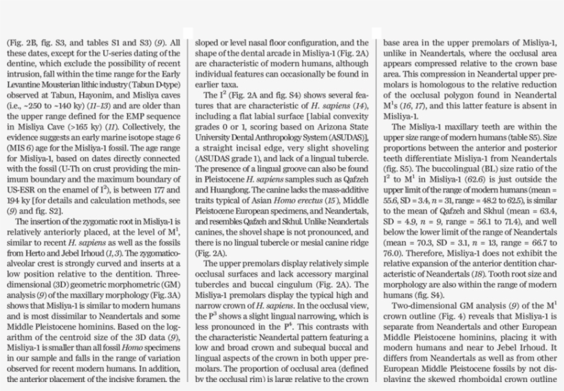 Various Views Of The Misliya-1 Hemimaxilla And Overview - Document, transparent png #2213377