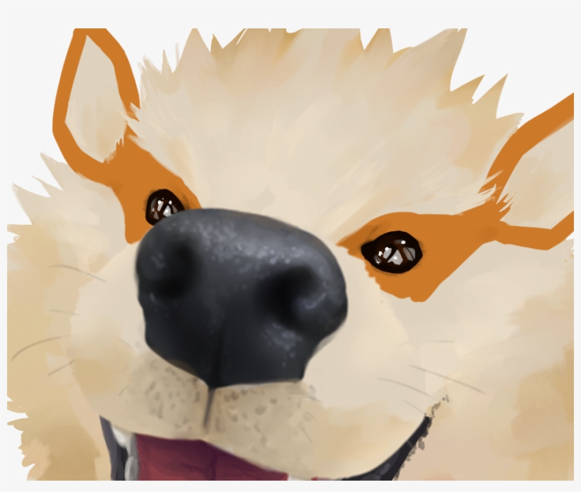 Close Up - Portable Network Graphics, transparent png #2213543