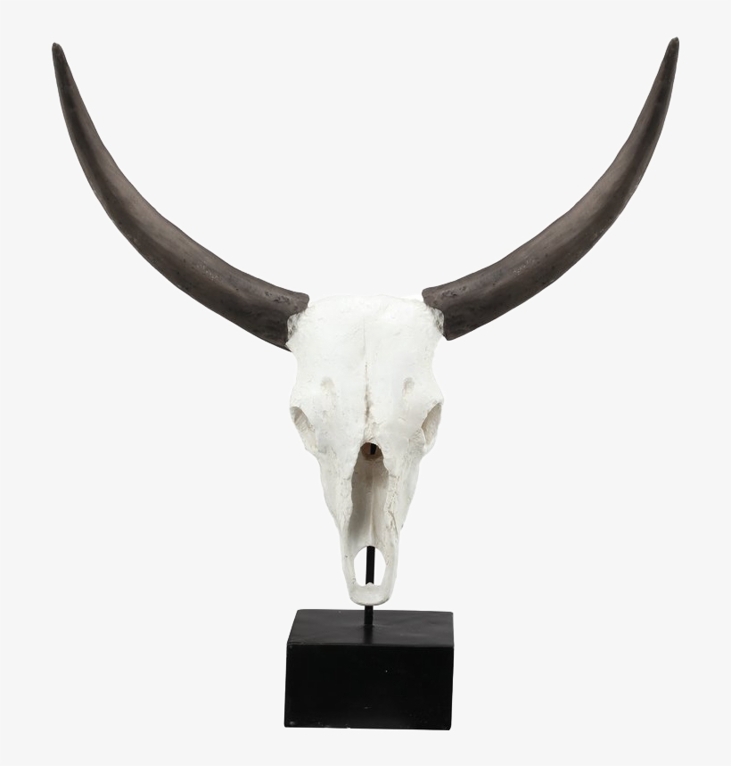 Peralta Decorative Resin Cow Skull - Trent Austin Design Decorative Resin Cow Skull, transparent png #2214439