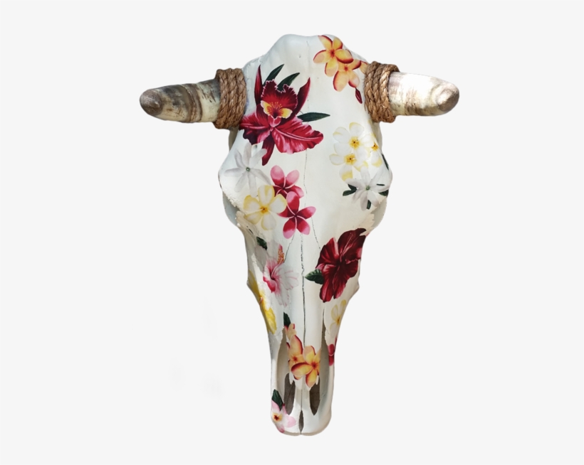 Please Log In - Skull, transparent png #2214484