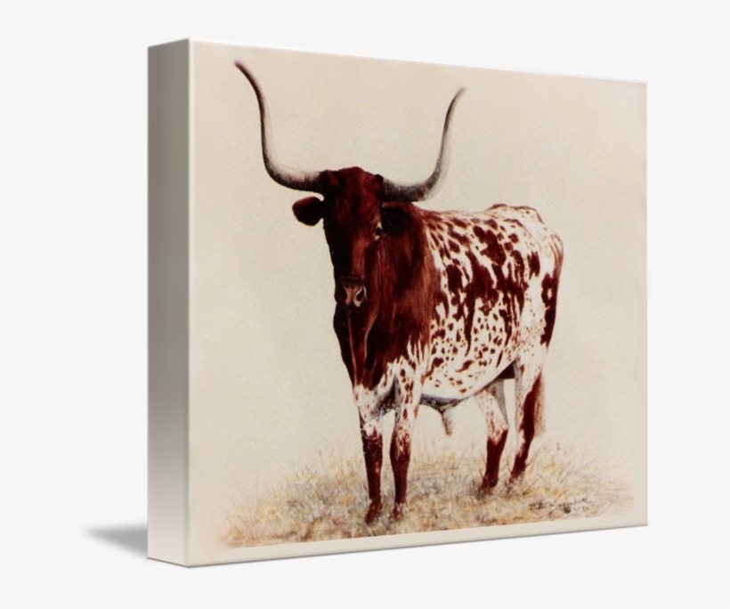 "longhorn Painting" By Didi Higginbotham, Fort Worth - Canvas, transparent png #2214513