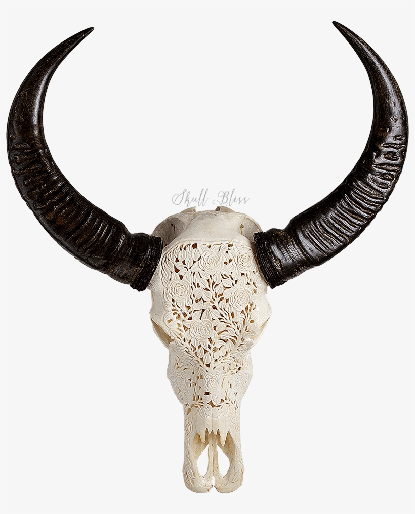 Decorative Skull Head Cow, transparent png #2214514