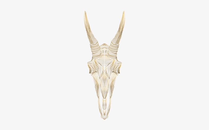 Click And Drag To Re-position The Image, If Desired - Bone, transparent png #2214566