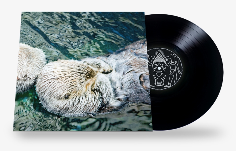Image Of Twerk Otter 12" Vinyl - Twerk Otter Vinyl Record, transparent png #2214850