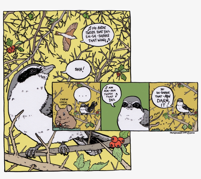 First - Falseknee Comics, transparent png #2214929