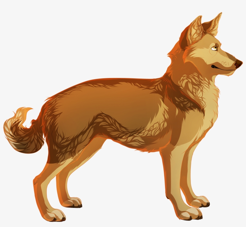 Doge - Fox, transparent png #2214934