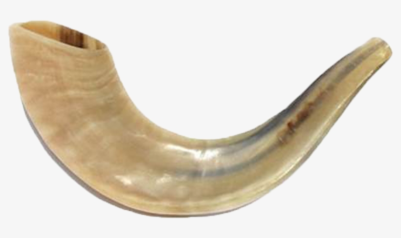 Shofar Horn, transparent png #2215327