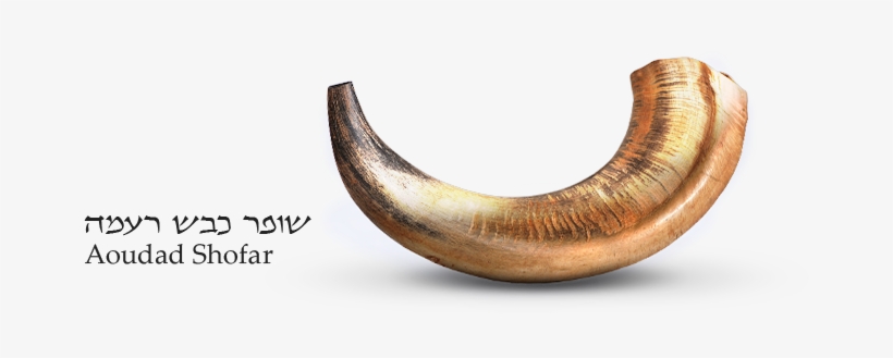 1 - צום מועיל וגמר חתימה טובה, transparent png #2215351