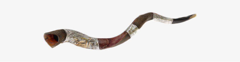 Extra Large Silver-plated Yemenite Shofar - Extra Large Yemenite Shofar Silver, transparent png #2215381