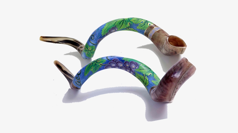 Hand Painted Kosher Yemenite Kudo ,kudu Horn Shofar - Shofar, transparent png #2215458