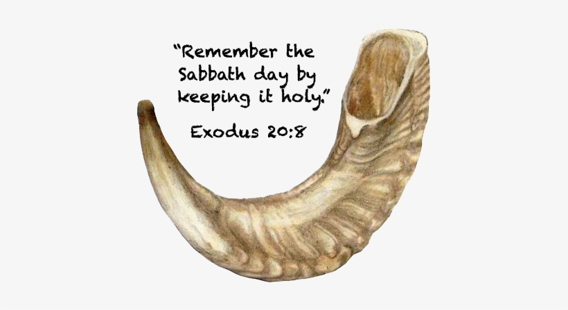 Shofar And Scriptures - Notes From The South Bay, transparent png #2215578
