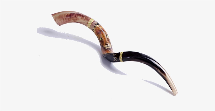 Back To Top ^ - Shofar, transparent png #2216103