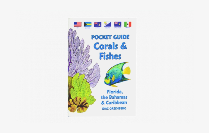 Innovative Concepts Waterproof Pocket Guide To Coral, transparent png #2217430