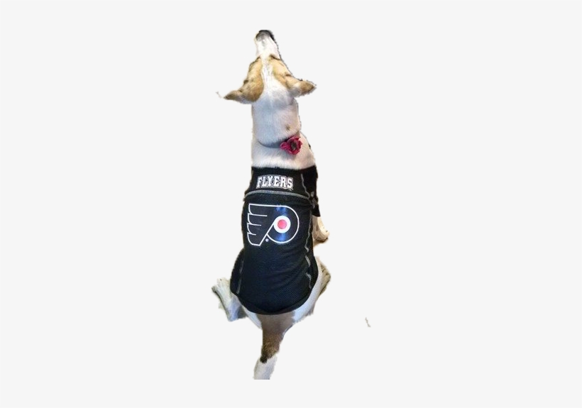 Join Us At Our 2nd Annual Drink & Drool, Cheap A Flyers - Police Dog, transparent png #2217941