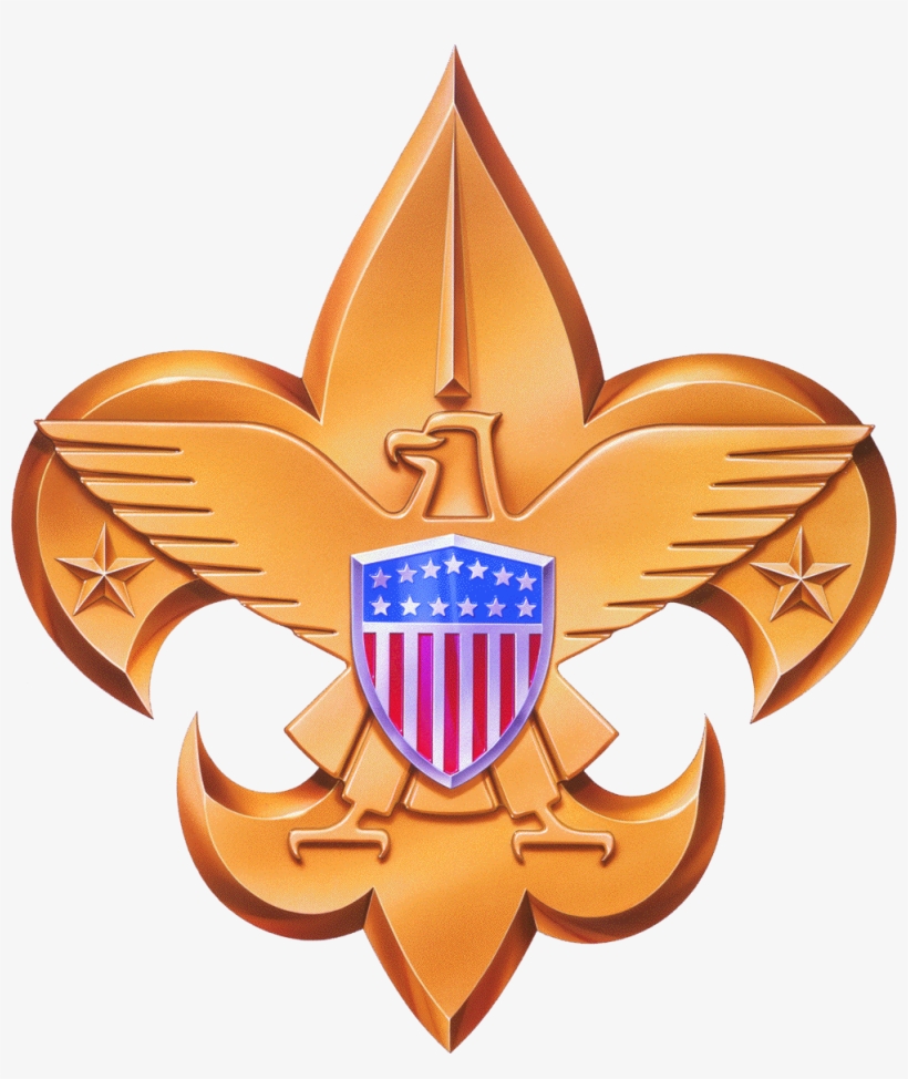 Bsa Logo Gold - Boy Scouts Of America, transparent png #2218128