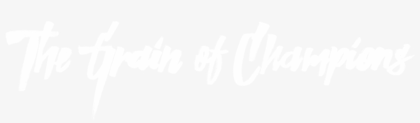 The Grain Of Champions - Calligraphy, transparent png #2218663