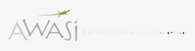 Logo Awasi Horizontalcurvas Copy Transparant - Hotel Awasi Patagonia Logo, transparent png #2218919