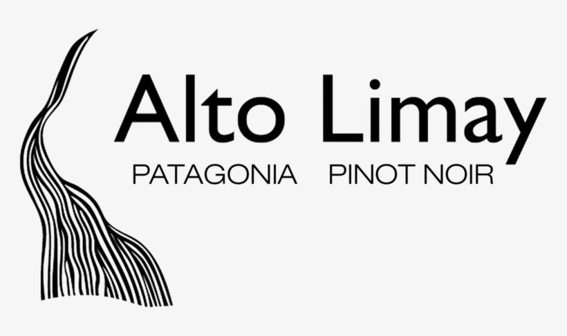 Altolimay Logo Ppn Transp - Complete Idiot's Guide To Nazi Germany, transparent png #2219204
