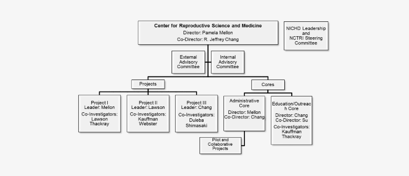 Crsmorgchart - Uc San Diego Organisational Chart, transparent png #2220227