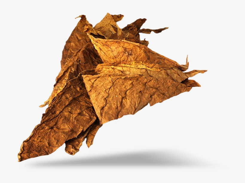 Tobacco Png, transparent png #2220255