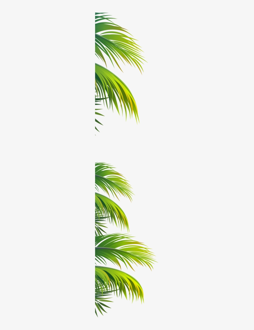 Hazlo Tropical Hazlo Tropical - Lawn, transparent png #2222855