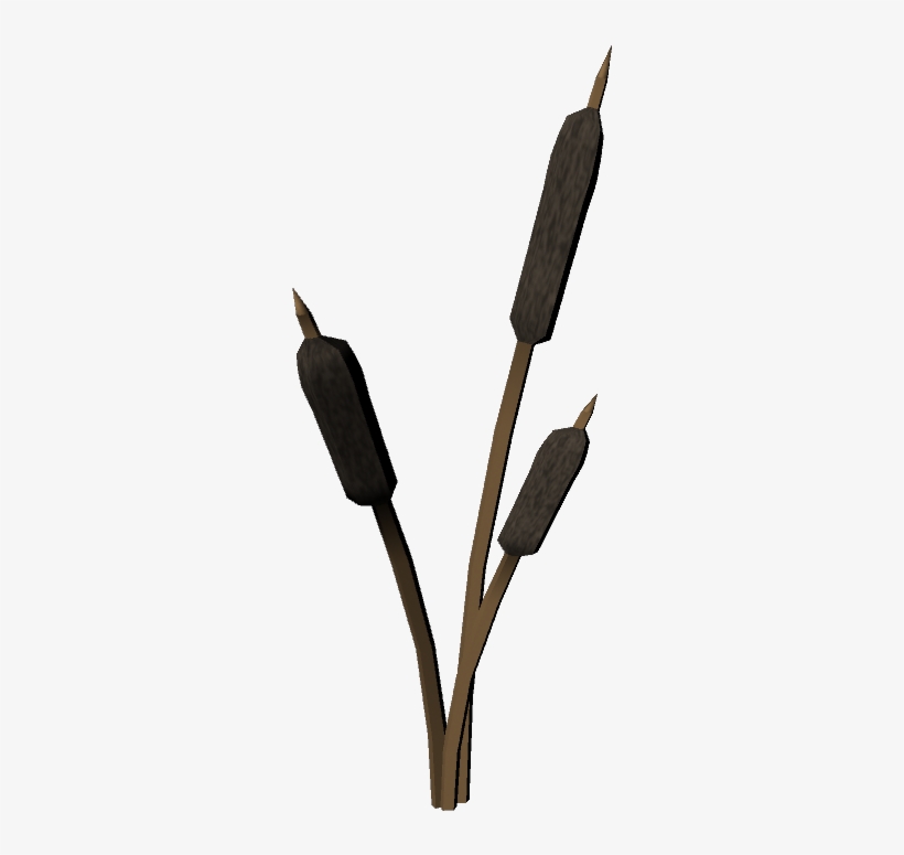 Cattails Plant - Blog, transparent png #2223002