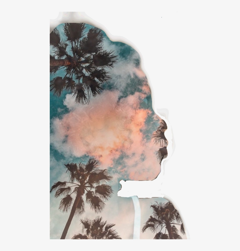 Fondos De Pantalla Palmeras, transparent png #2223134