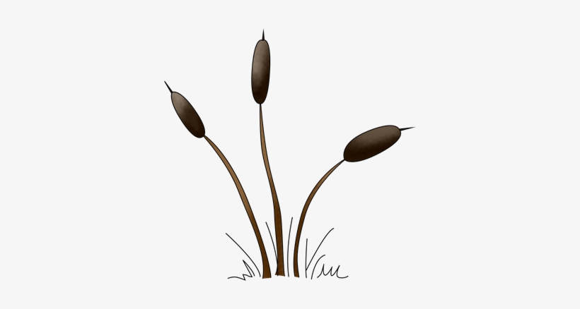 The Sussex Cat Tail Png - Cattail, transparent png #2223272