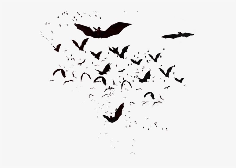 Clip Free Library Pachislot Ii Artwork Crypt Com A - Bats Transparent, transparent png #2223277