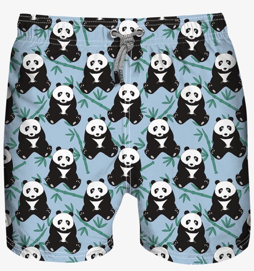 Pandablueweb V=1528411040 - Panda, transparent png #2223511