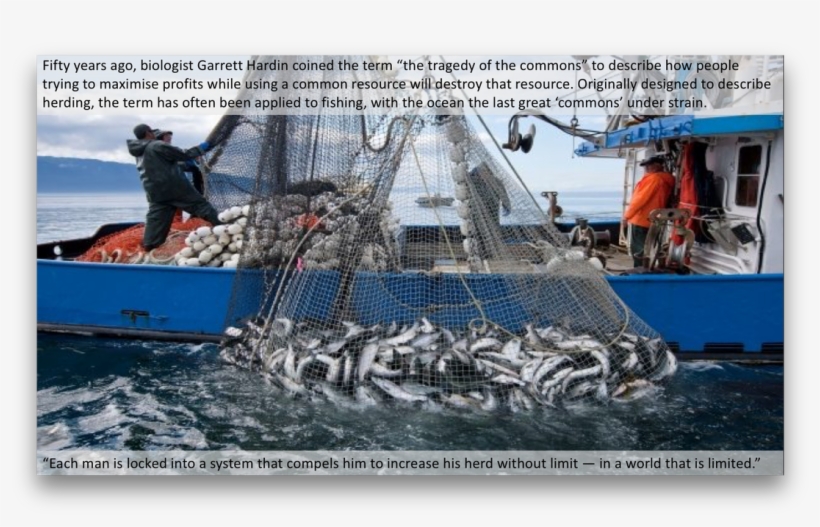 Picture - Commercial Ocean Fishing, transparent png #2224737