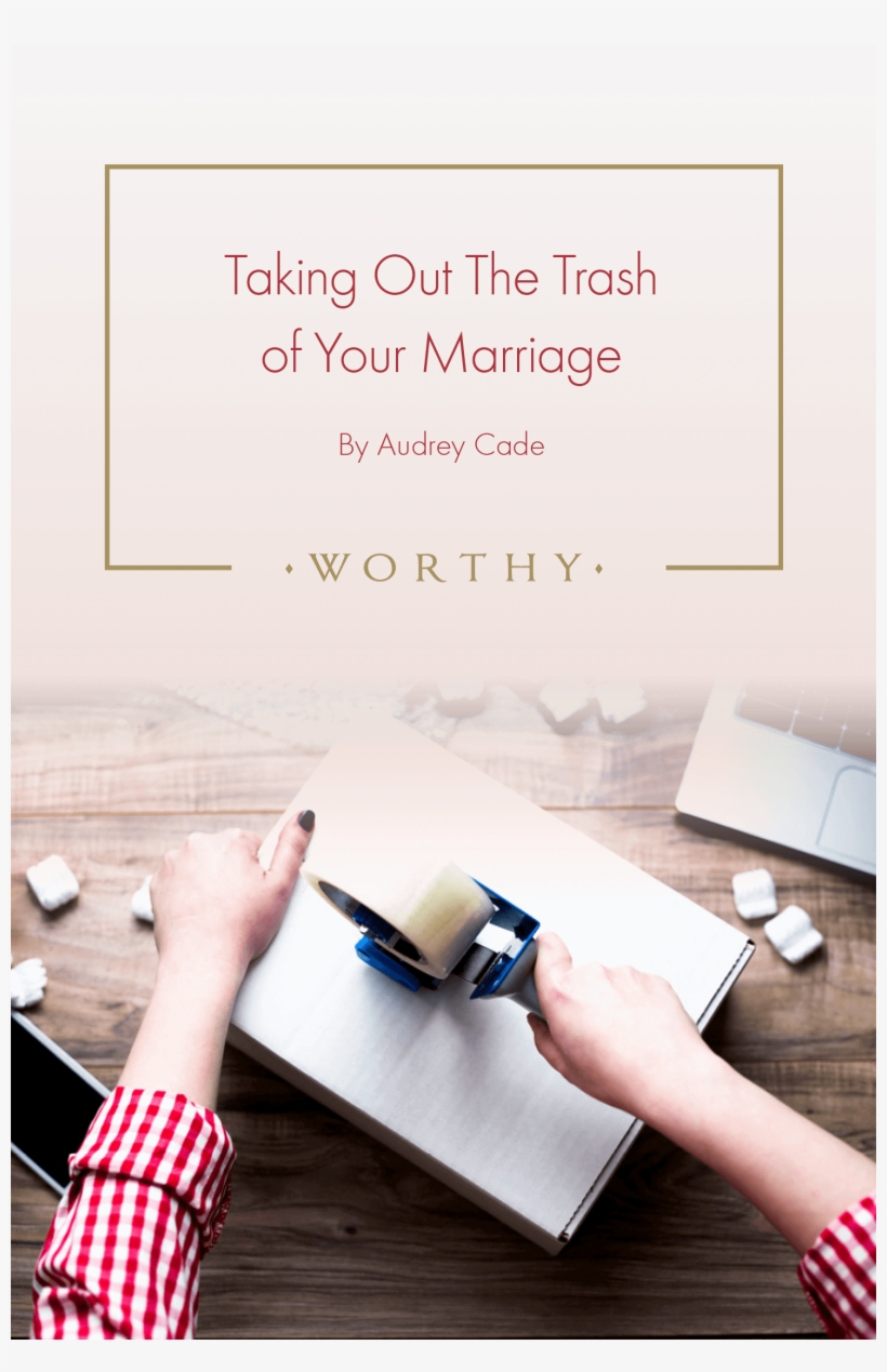 Use Your Divorce As The Springboard For An Exciting - Degla Palms, transparent png #2226734