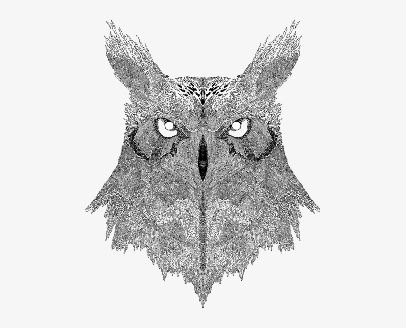 Notebook Design For Adult Swim - Eastern Screech Owl, transparent png #2228359