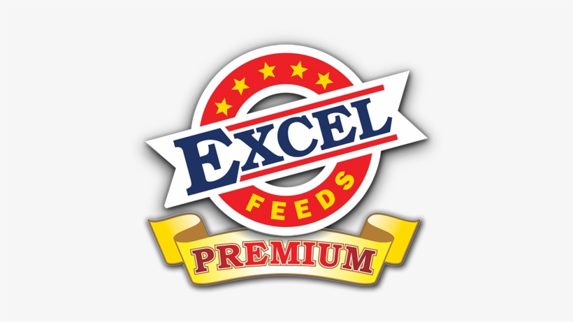 Excel Premium - Excel Feeds, transparent png #2231029